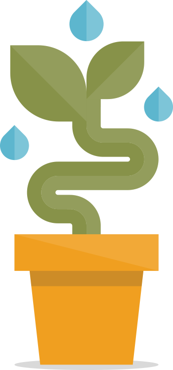 illo-your-way